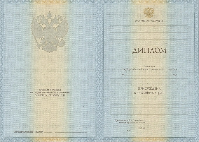 Диплом дизайнера 2009-2010 года